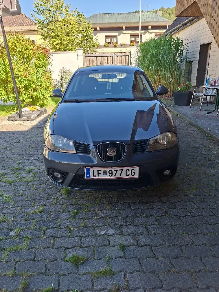 Seat Ibiza 2006 photo 2