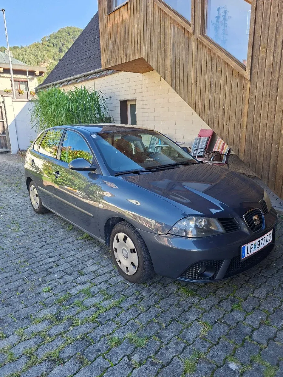 Seat Ibiza 2006 photo 3
