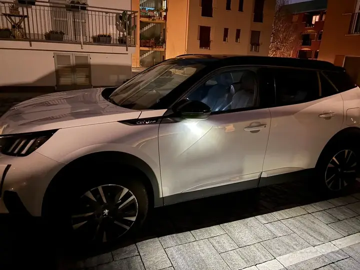 Peugeot 2008 2020 photo 5