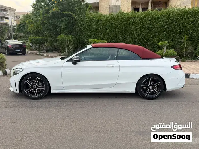 Mercedes-Benz C-Class 2019 photo 2