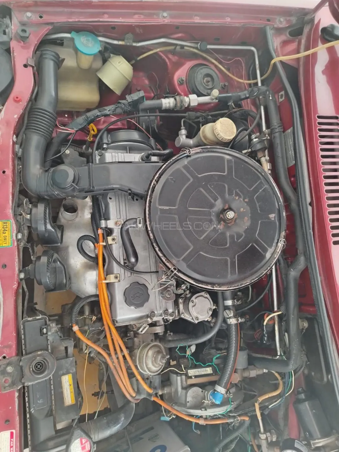 Kia Classic