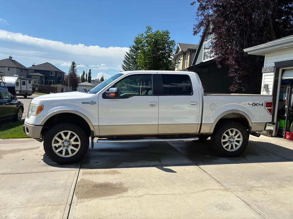 Ford F-150 2010 photo 2