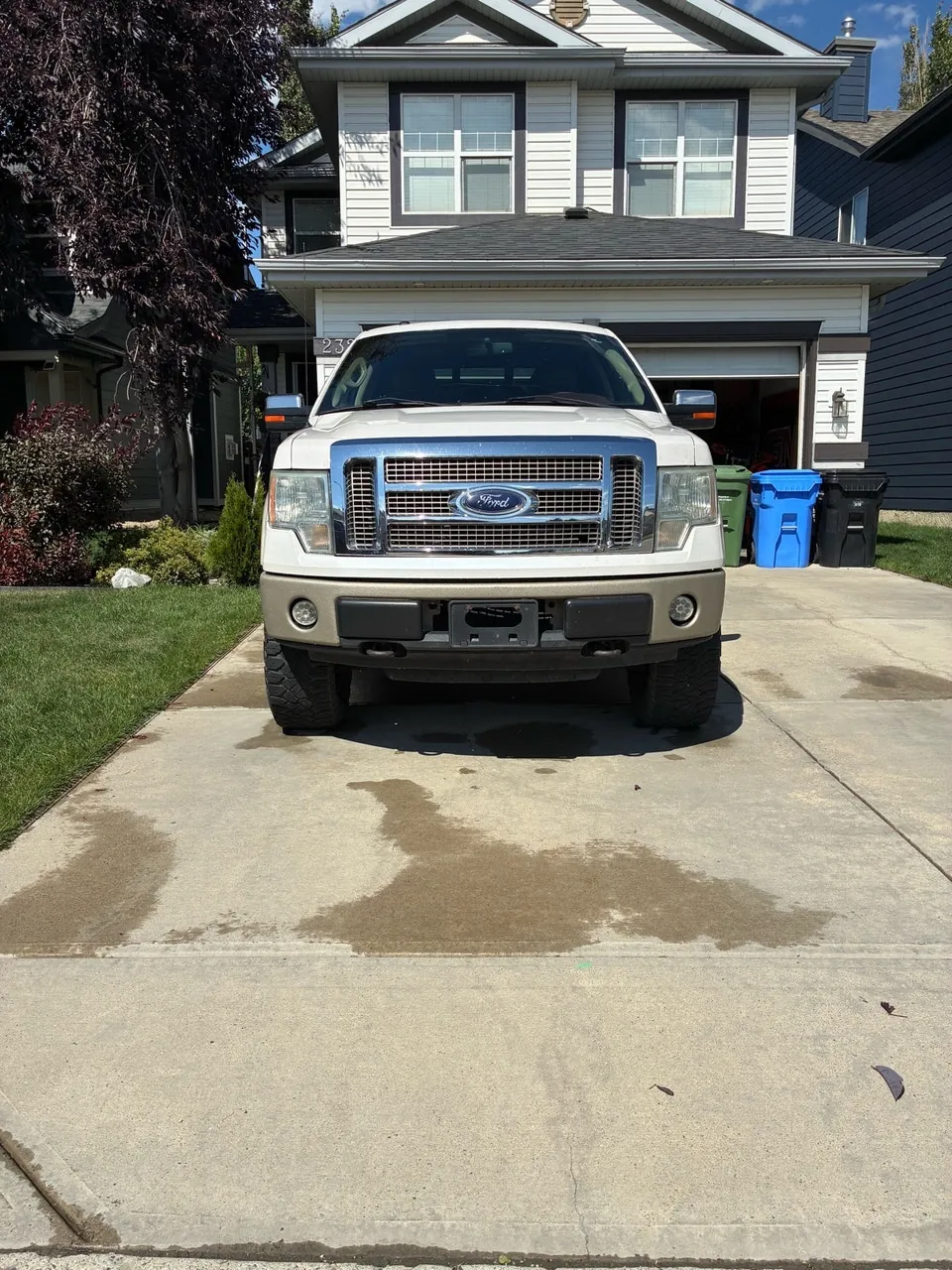 Ford F-150 2010 photo 3
