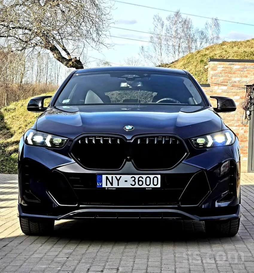BMW X6