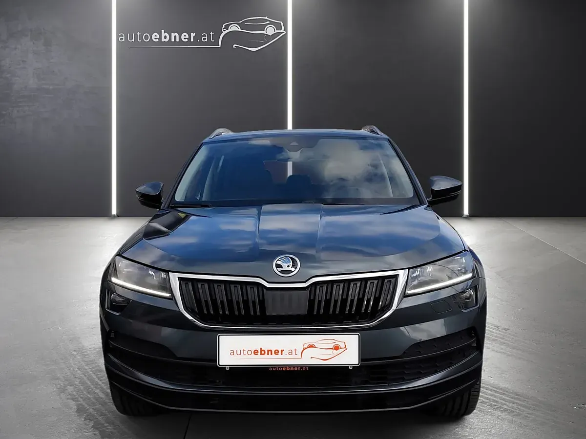 Skoda Karoq 2019 photo 2