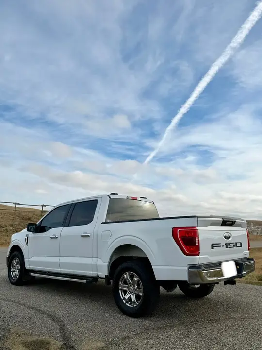 Ford F-150 2022 photo 4