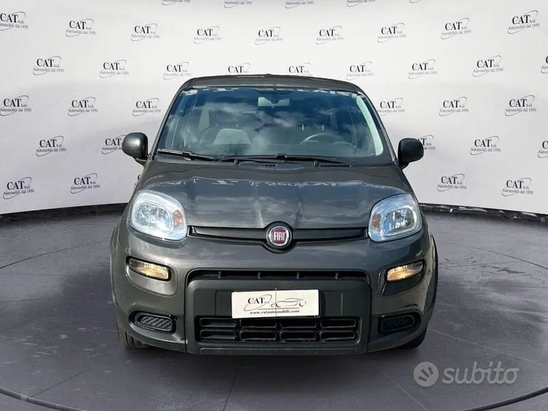 Fiat Panda 2023 photo 2