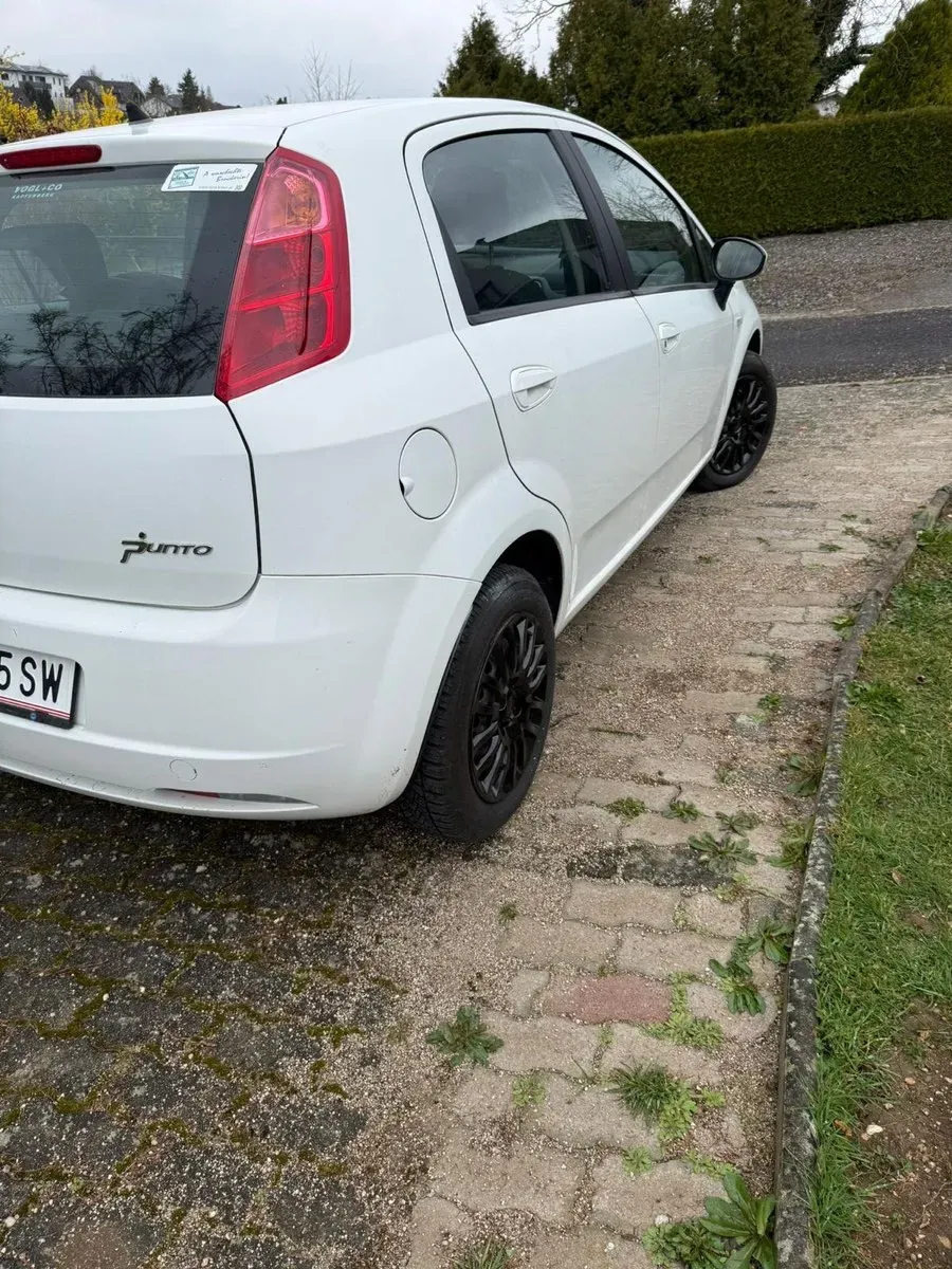 Fiat Punto