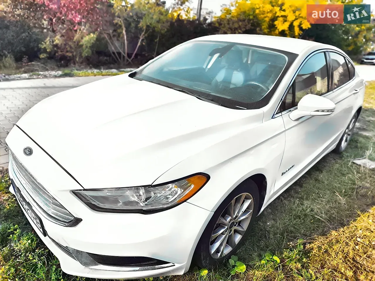 Ford Fusion