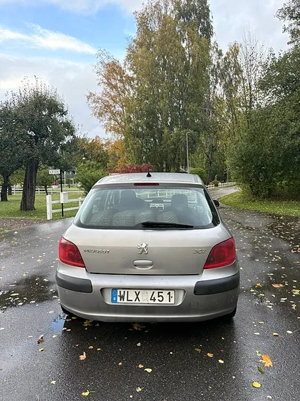 Peugeot 307 2005 photo 4
