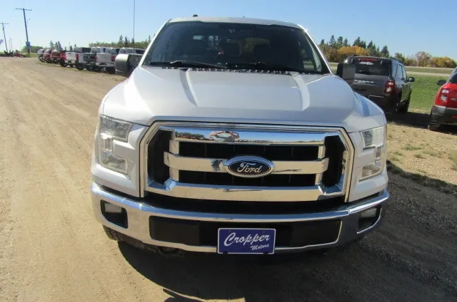 Ford F-150 2016 photo 2