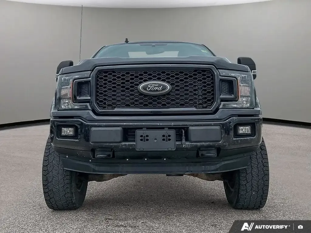 Ford F-150 2020 photo 3