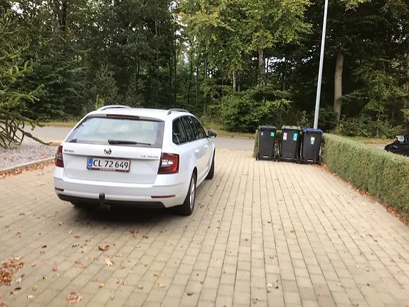 Skoda Octavia 2019 photo 3