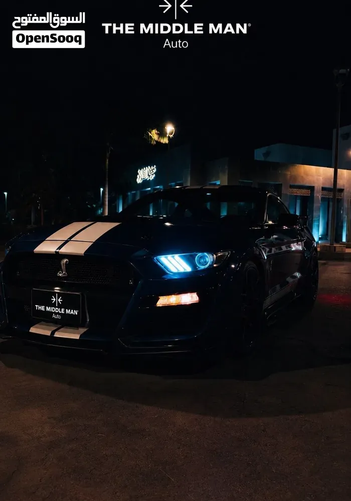 Ford Mustang 2015 photo 2