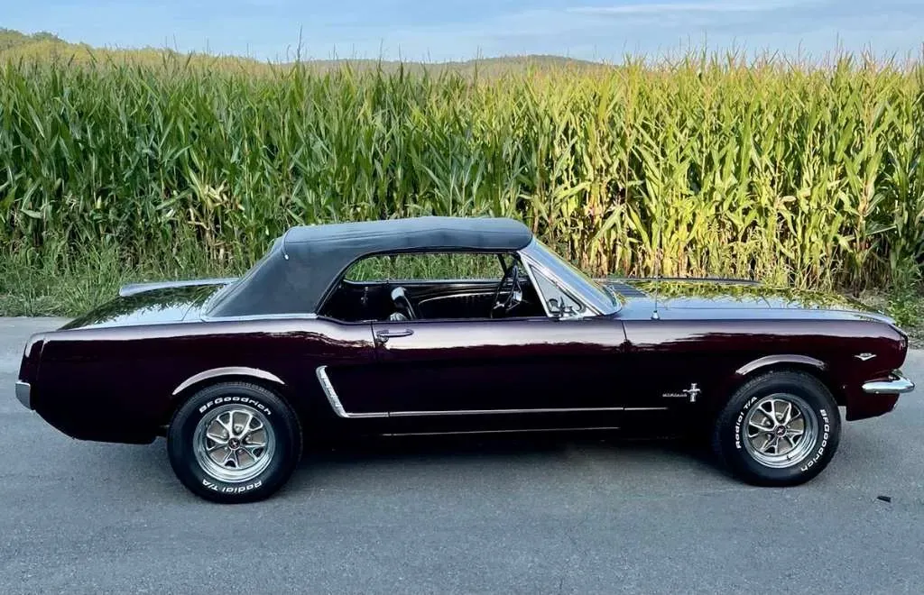 Ford Mustang 1965 photo 2