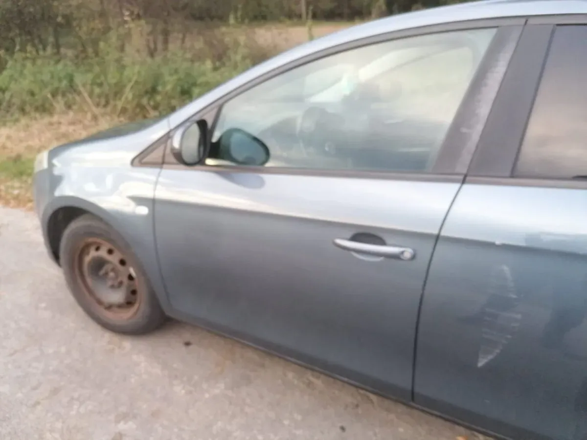 Fiat Bravo 2010 photo 2