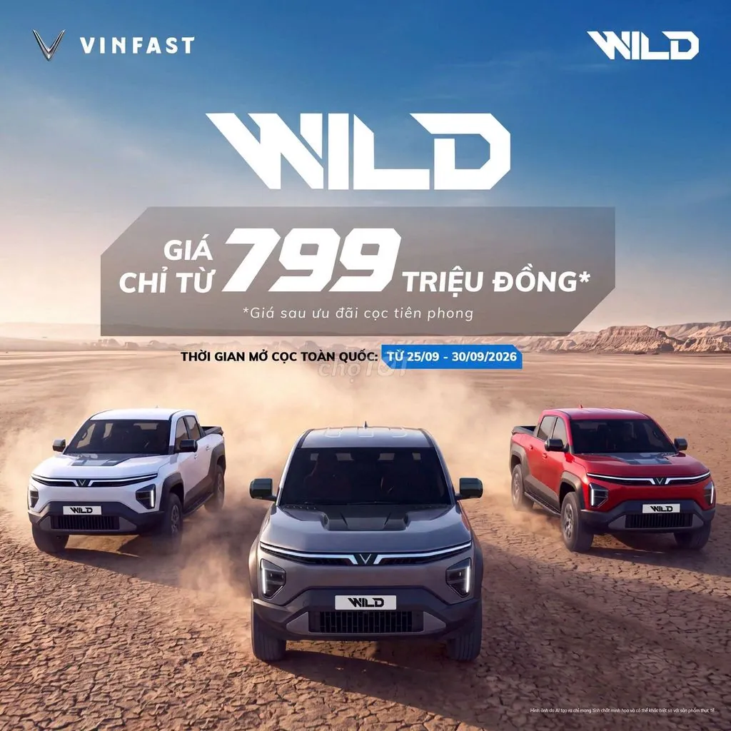 Vinfast Vf Wild