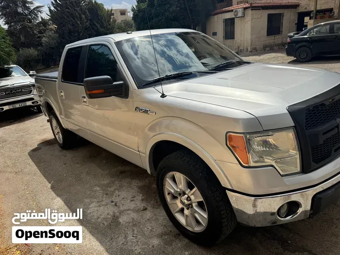 Ford F-150 2010 photo 3