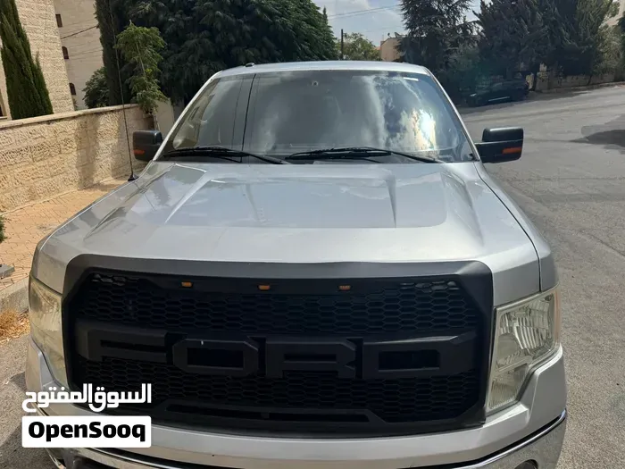 Ford F-150 2010 photo 4