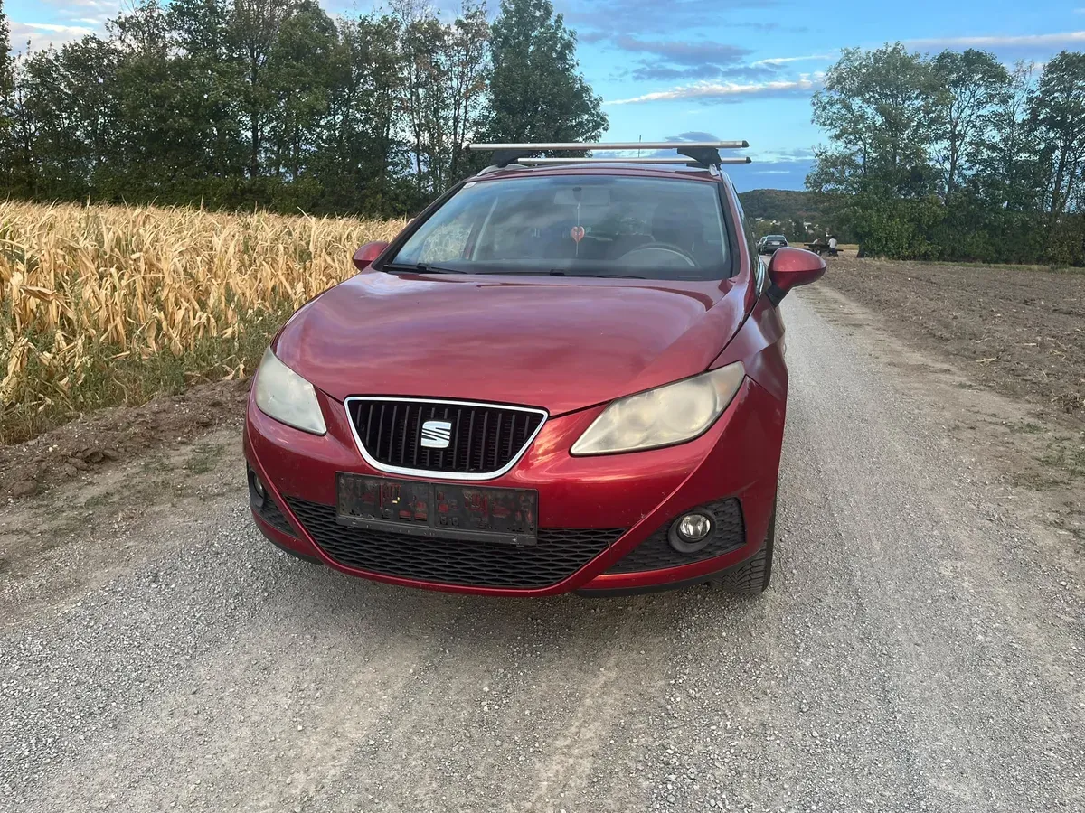 Seat Ibiza 2011 photo 2