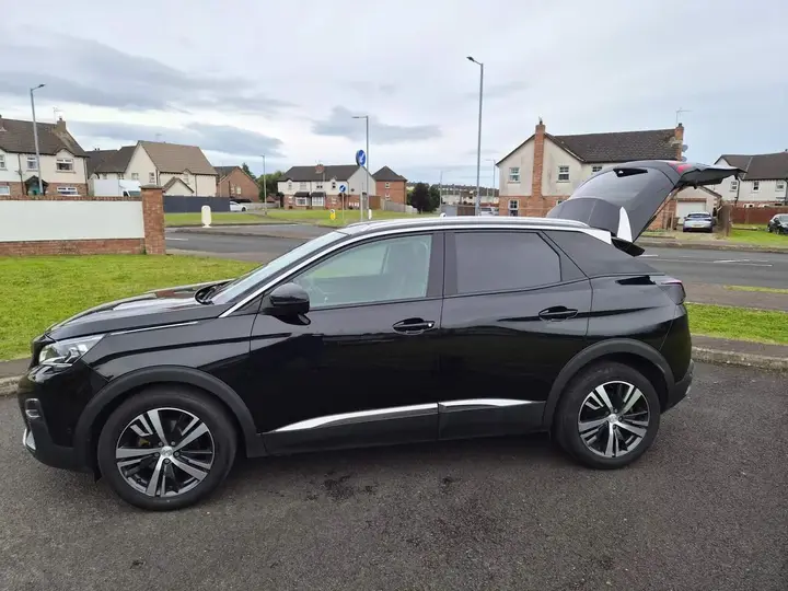 Peugeot 3008 2020 photo 3