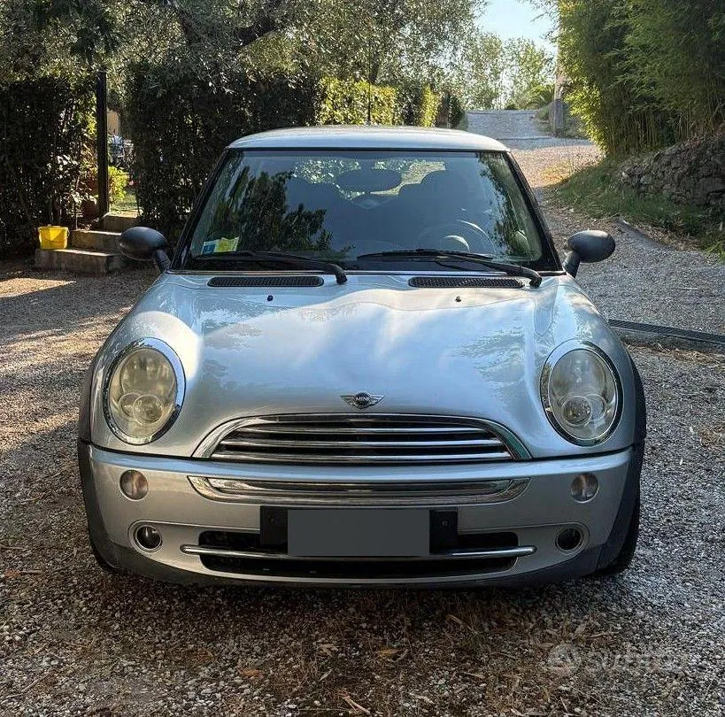 Mini Mini One