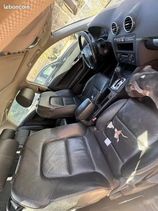 Audi A3 2004 photo 3