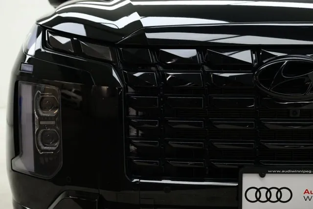 Hyundai Palisade 2025 photo 3