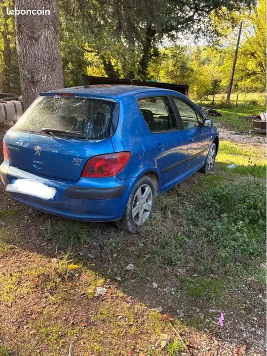 Peugeot 307