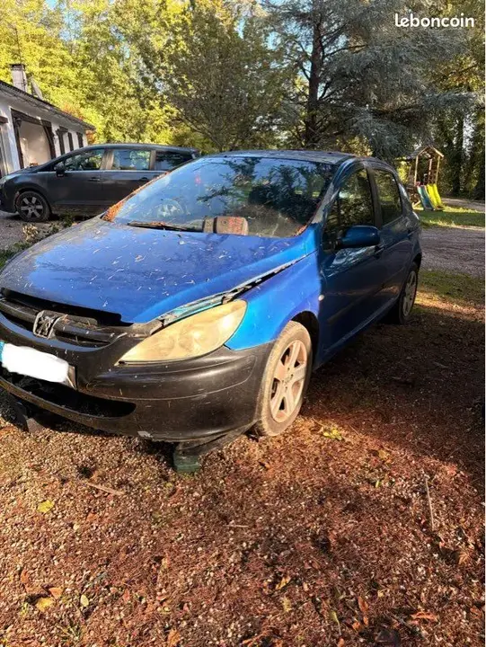 Peugeot 307 2005 photo 2