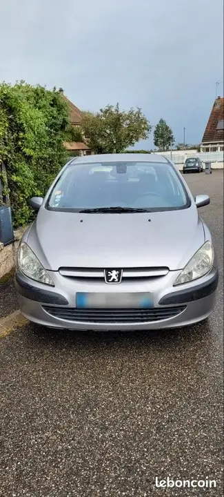 Peugeot 307 2003 photo 2