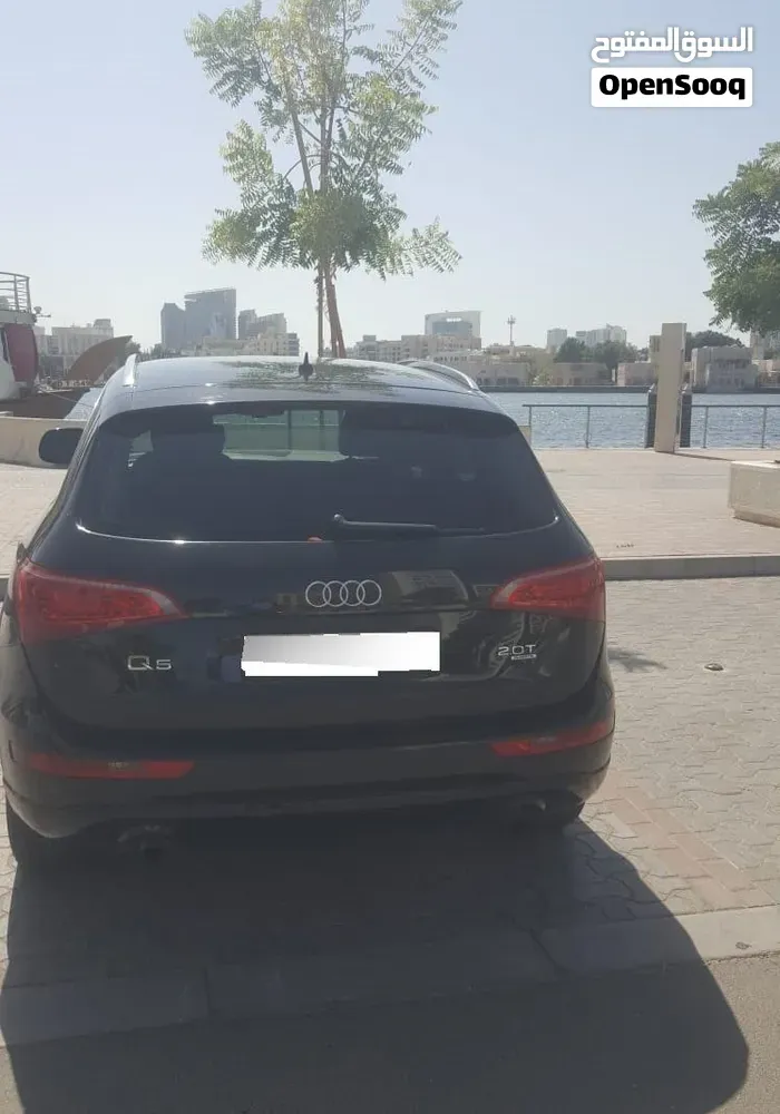 Audi Q5 2013 photo 4
