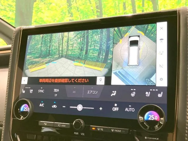 Toyota Alfaard Z 2025 photo 5