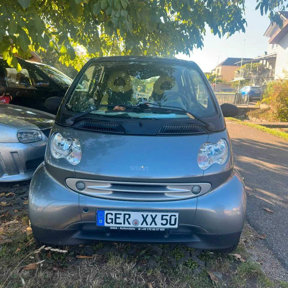 Smart For Two