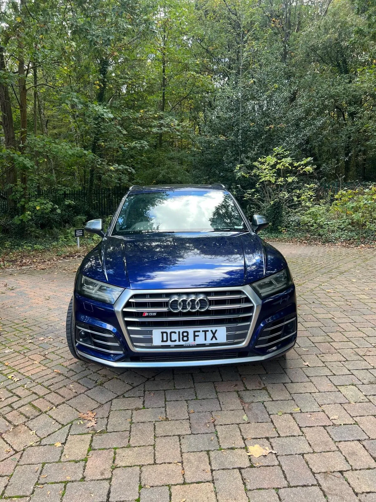Audi Sq5 2018 photo 3