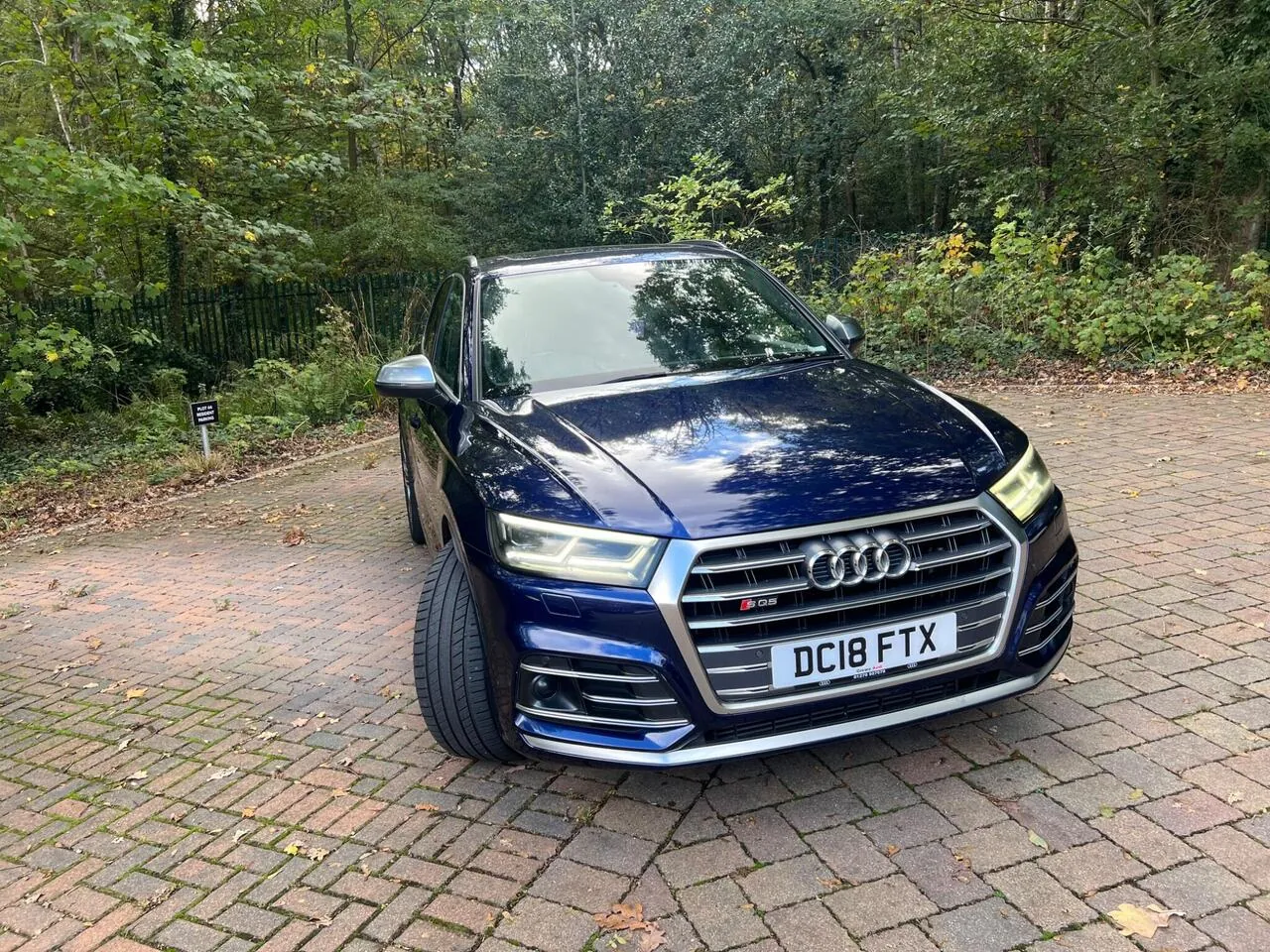 Audi Sq5 2018 photo 2