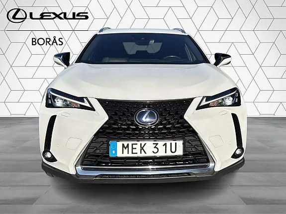 Lexus Ux250H 2019 photo 4