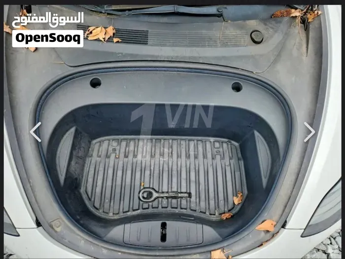 Tesla Model 3 2021 photo 2