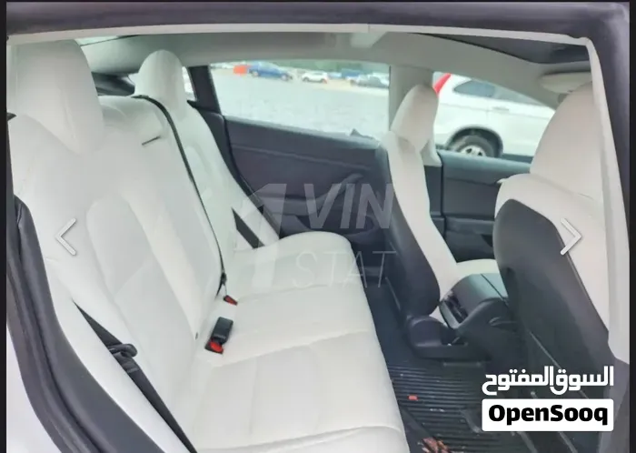 Tesla Model 3 2021 photo 4