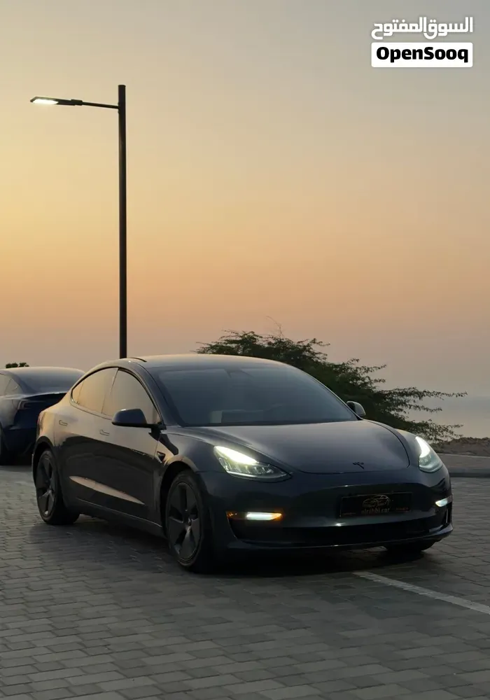 Tesla Model 3 2021 photo 5