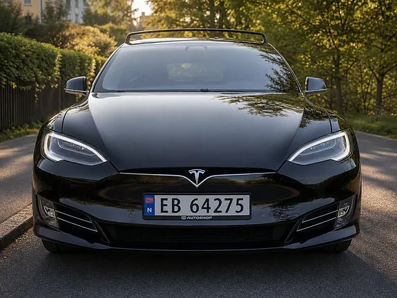 Tesla Model S 2020 photo 5