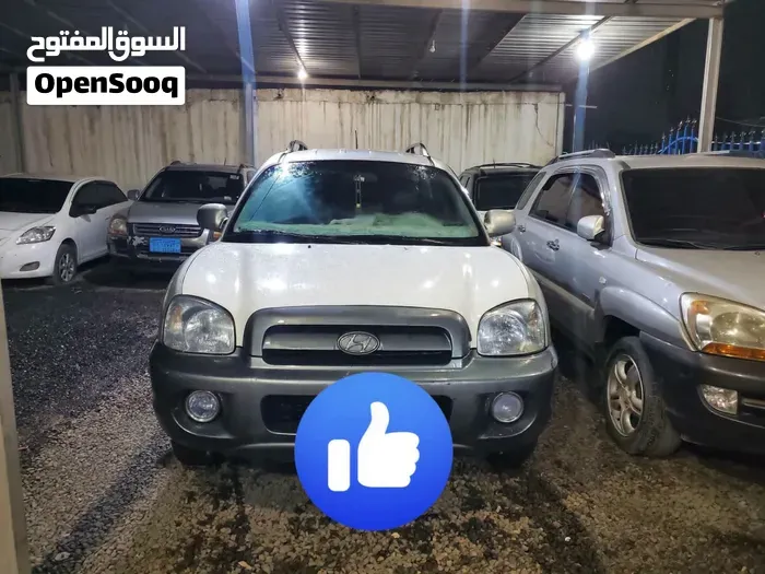 Hyundai Santa Fe 2005 photo 5