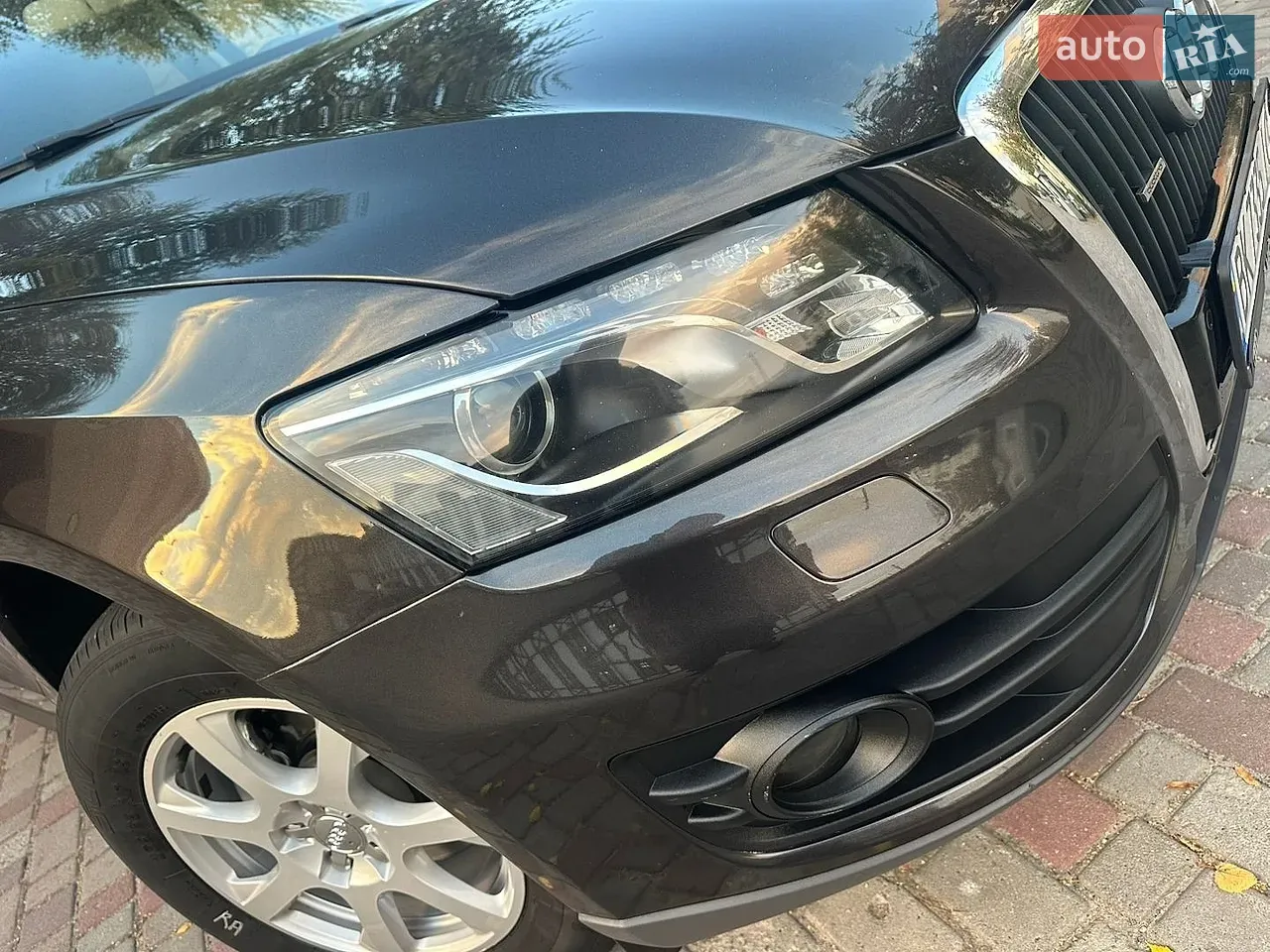 Audi Q5 2011 photo 5