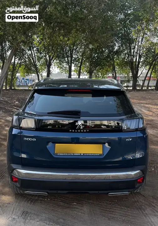 Peugeot 3008