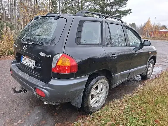 Hyundai Santa Fe 2003 photo 3