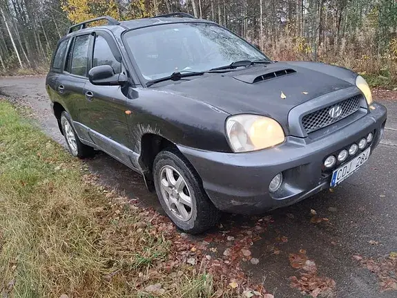 Hyundai Santa Fe 2003 photo 2