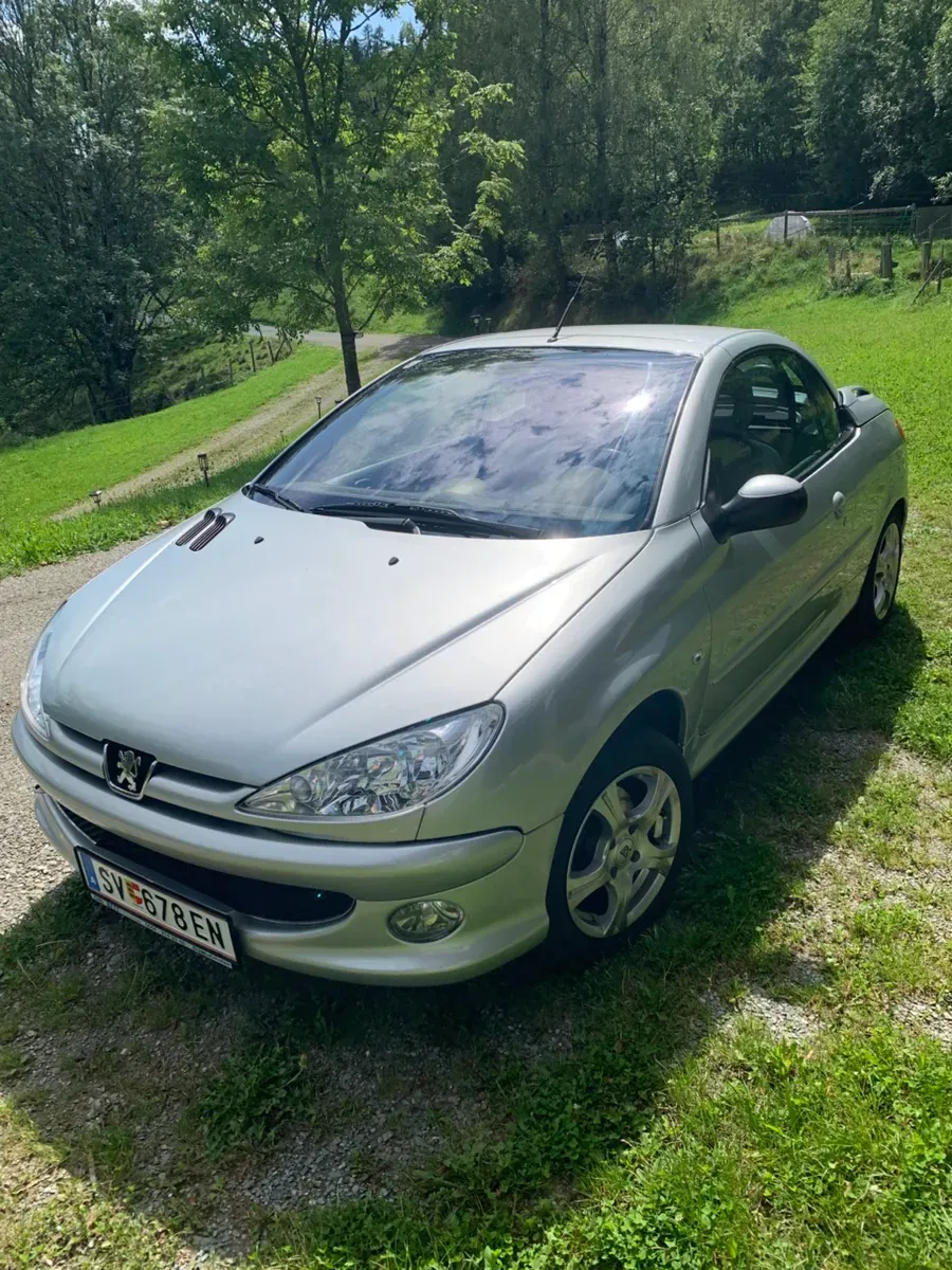 Peugeot 206 2005 photo 3