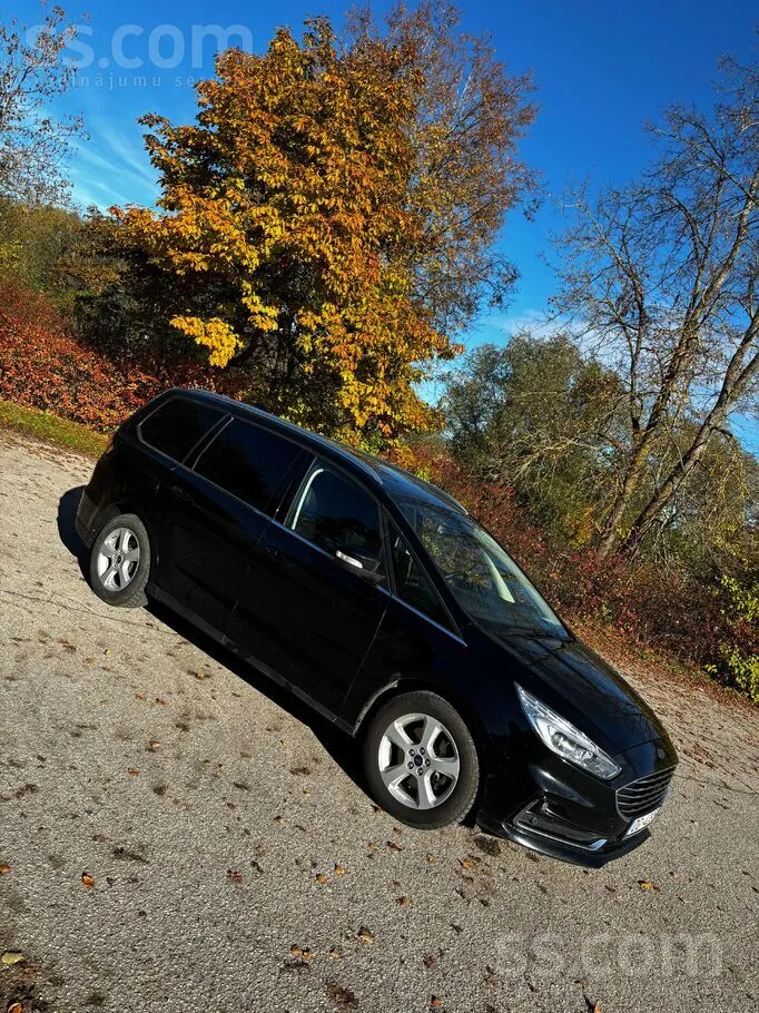 Ford Galaxy 2019 photo 3