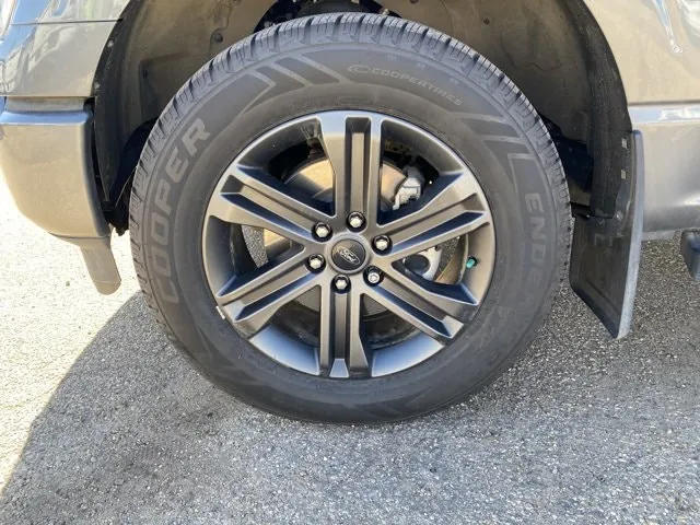 Ford F-150 2022 photo 4
