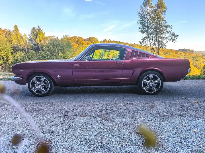 Ford Mustang 1965 photo 3